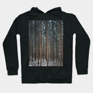 Fir forest stems texture Hoodie